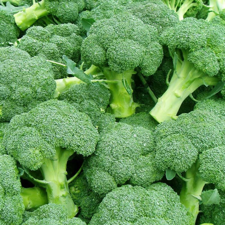 Comprar Brócoli online