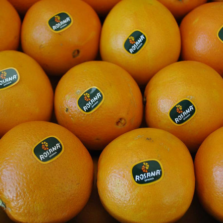 Comprar Naranja de mesa Navel Nacional online