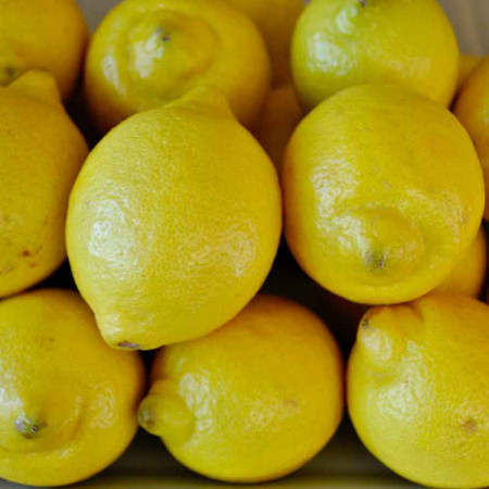 Comprar Limón online