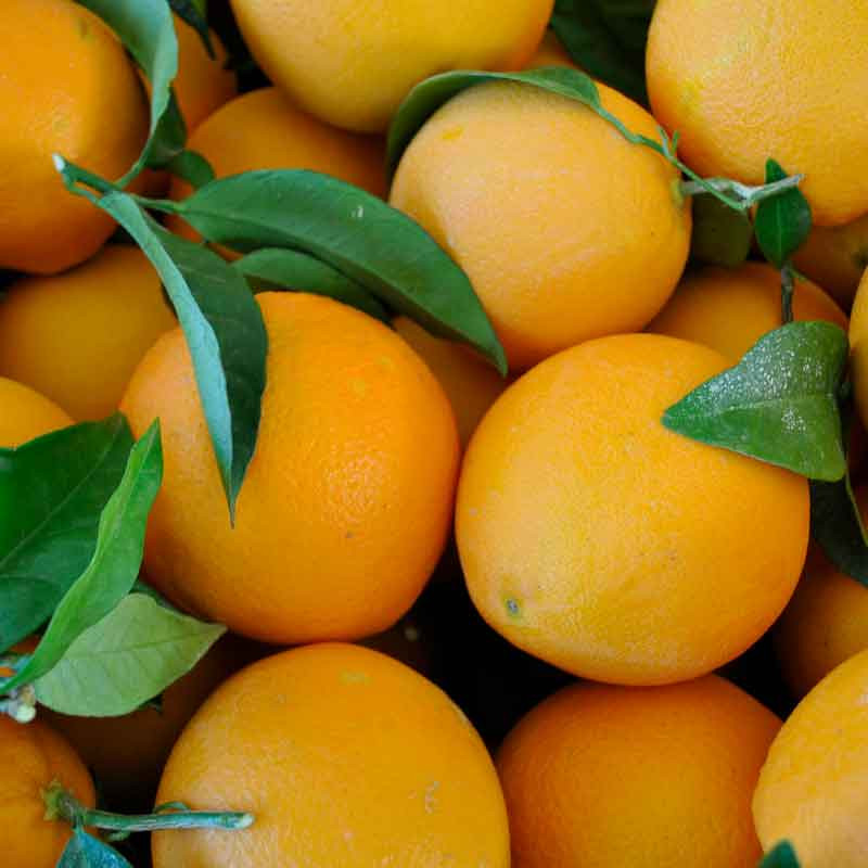 Comprar Naranja de Hoja (Ecológica) online