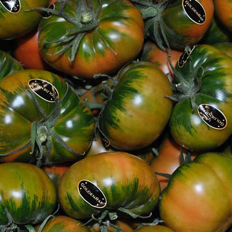 Comprar Tomate Golden Raf online