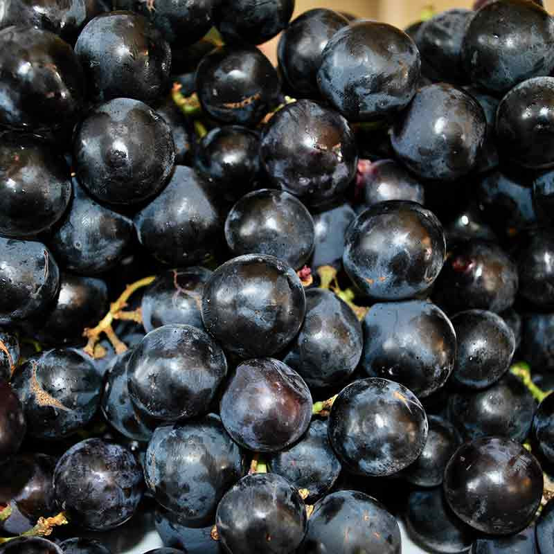 Comprar Uva Negra sin pepita online