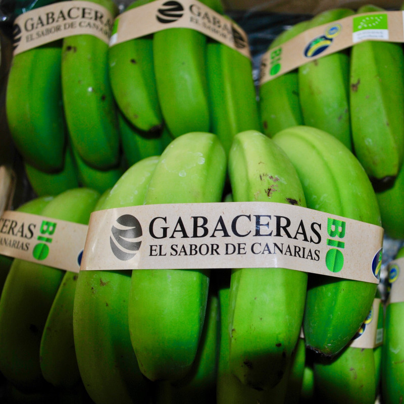 Comprar Plátano ecológico online